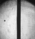 Severe water staining and rust spalling on raw exposed concrete